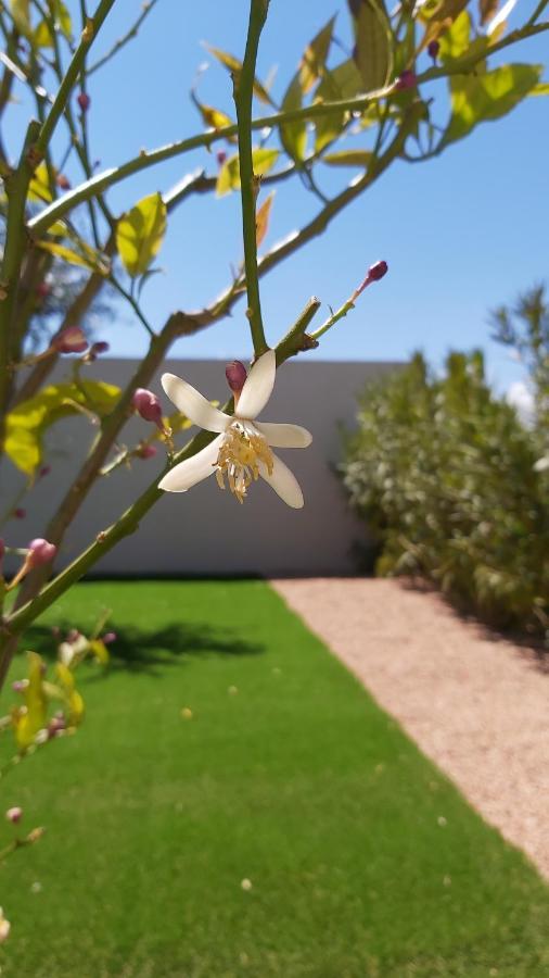 לצ'י Villa Home Holiday A Cala Rossa מראה חיצוני תמונה