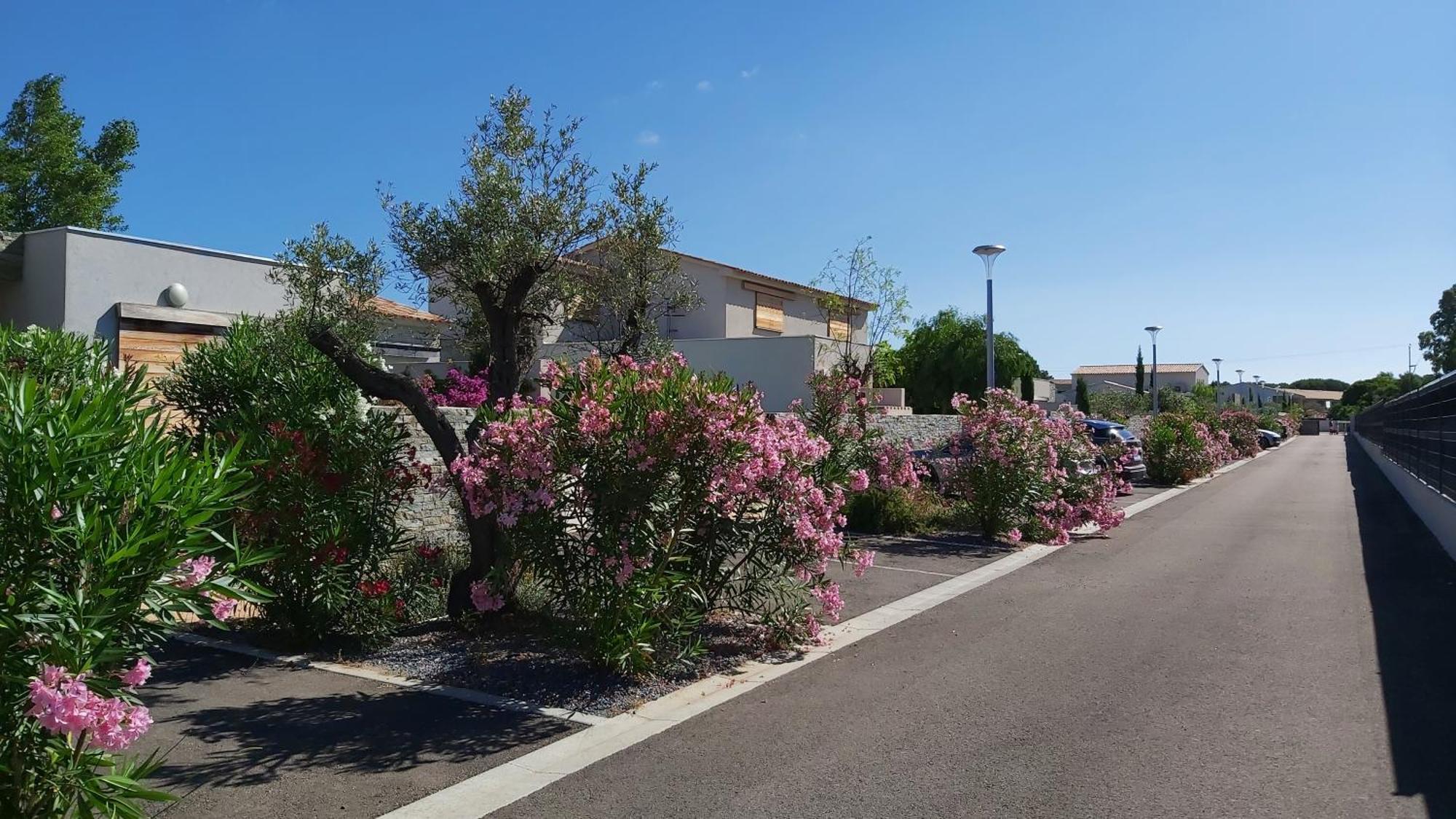 לצ'י Villa Home Holiday A Cala Rossa מראה חיצוני תמונה
