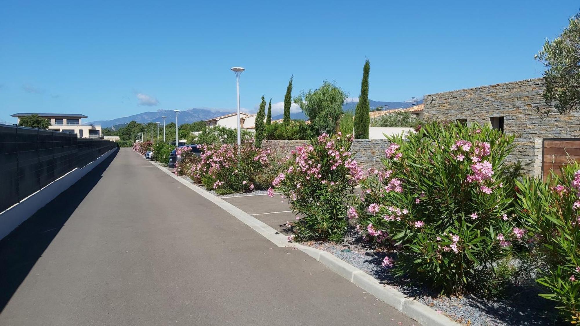 לצ'י Villa Home Holiday A Cala Rossa מראה חיצוני תמונה